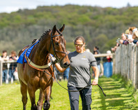 Race 2 - Maiden (17 of 122)