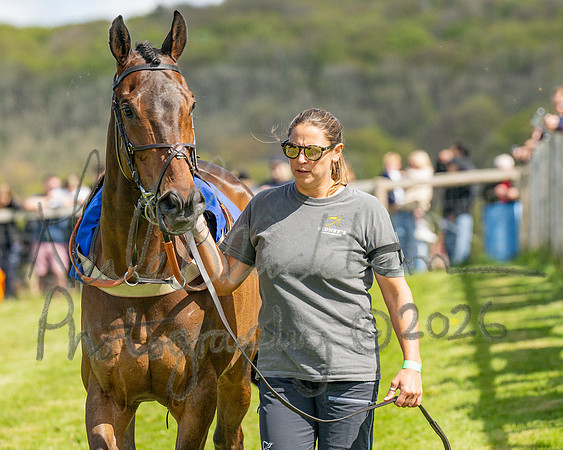 Race 2 - Maiden (19 of 122)
