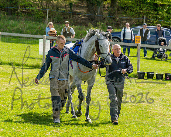 Race 2 - Maiden (22 of 122)