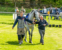 Race 2 - Maiden (23 of 122)