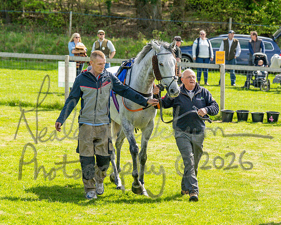 Race 2 - Maiden (23 of 122)