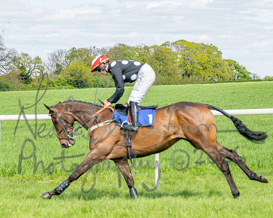 Race 2 - Maiden (26 of 122)