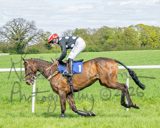Race 2 - Maiden (27 of 122)