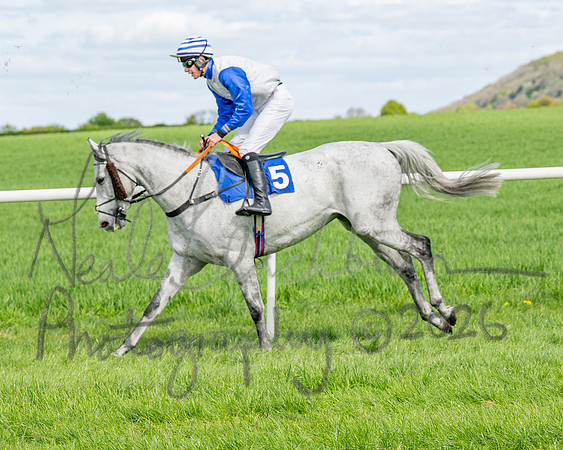 Race 2 - Maiden (28 of 122)