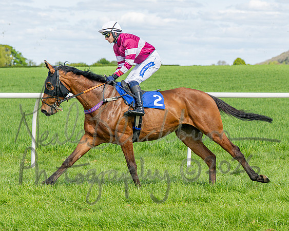 Race 2 - Maiden (30 of 122)
