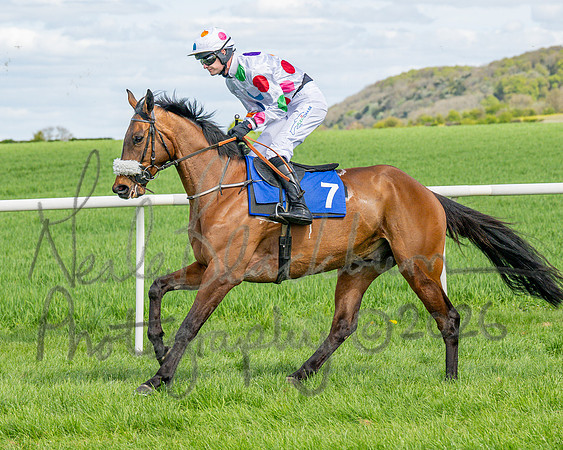 Race 2 - Maiden (32 of 122)