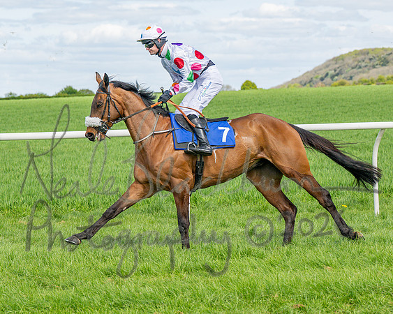 Race 2 - Maiden (33 of 122)