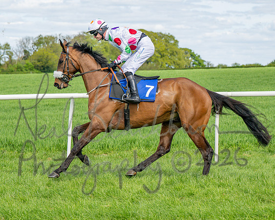 Race 2 - Maiden (34 of 122)