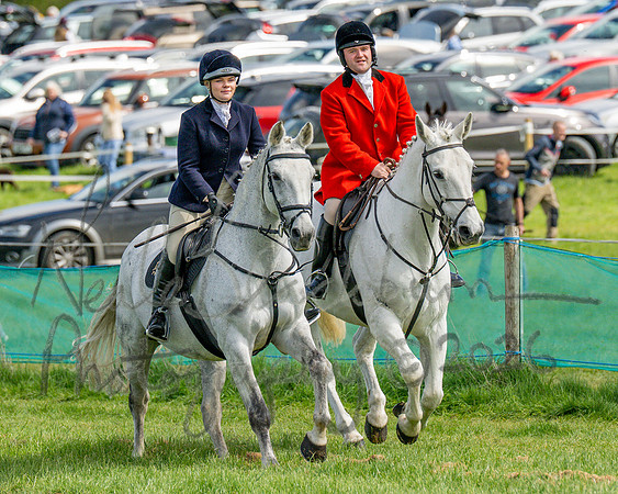 Race 2 - Maiden (36 of 122)