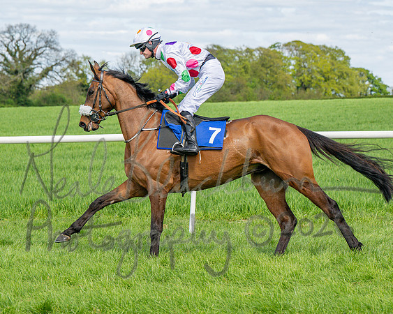 Race 2 - Maiden (35 of 122)