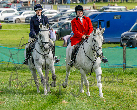 Race 2 - Maiden (38 of 122)