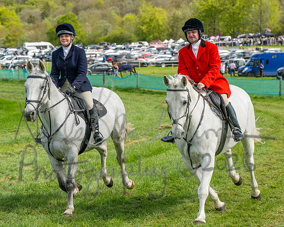Race 2 - Maiden (43 of 122)