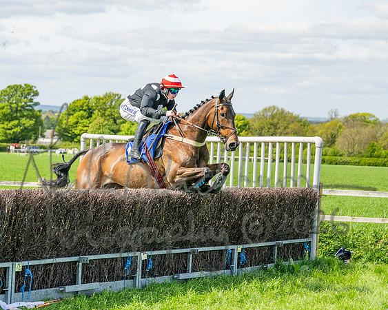 Race 2 - Maiden (44 of 122)