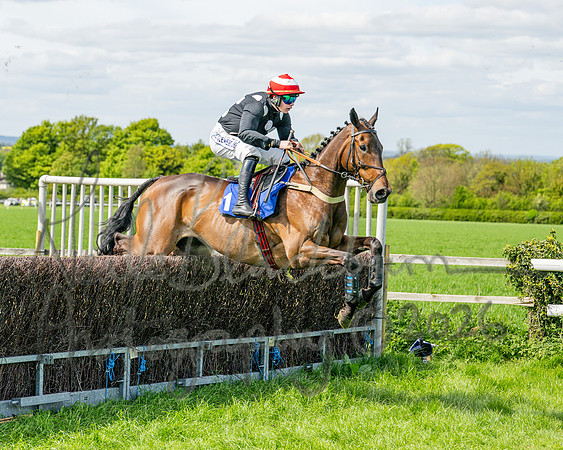 Race 2 - Maiden (45 of 122)