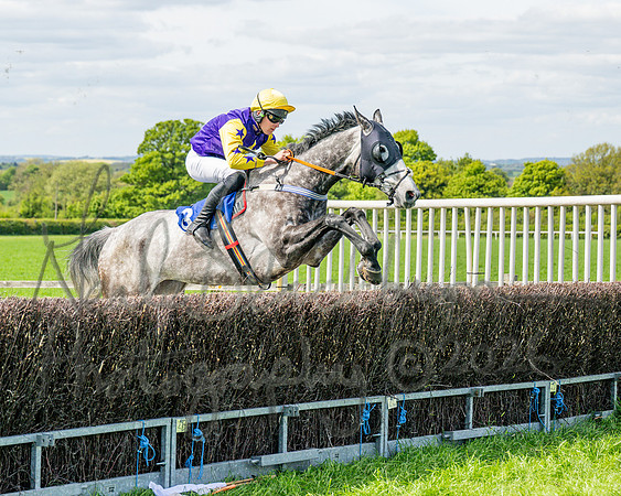 Race 2 - Maiden (46 of 122)
