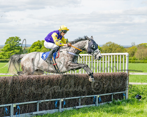 Race 2 - Maiden (47 of 122)