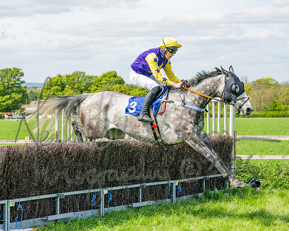Race 2 - Maiden (48 of 122)