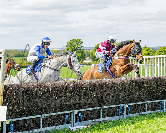 Race 2 - Maiden (49 of 122)