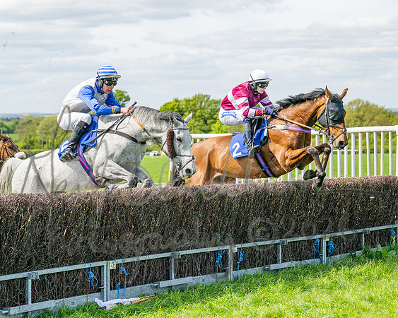 Race 2 - Maiden (50 of 122)