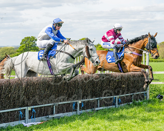 Race 2 - Maiden (51 of 122)
