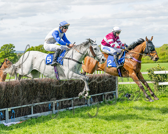 Race 2 - Maiden (52 of 122)