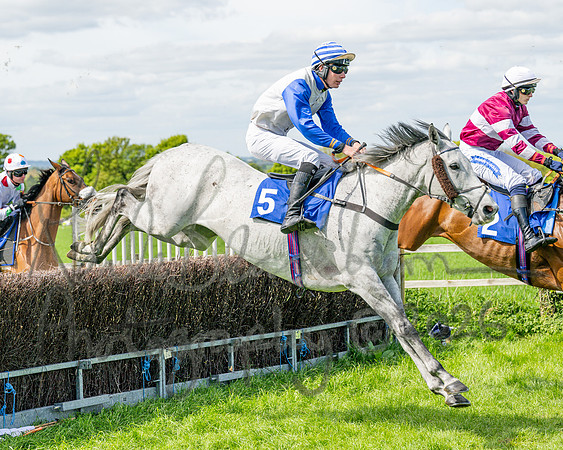 Race 2 - Maiden (53 of 122)