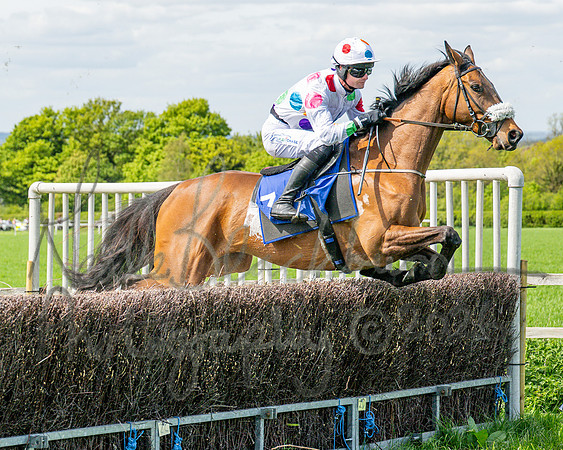 Race 2 - Maiden (54 of 122)