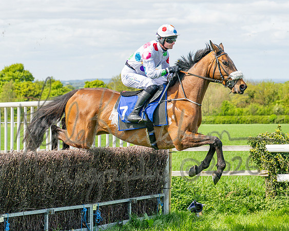 Race 2 - Maiden (55 of 122)