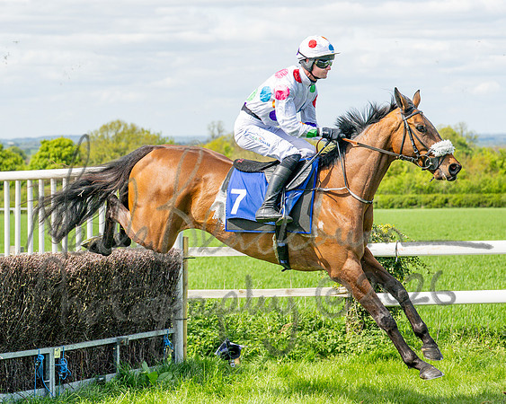 Race 2 - Maiden (56 of 122)