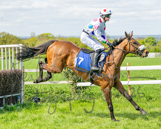 Race 2 - Maiden (57 of 122)