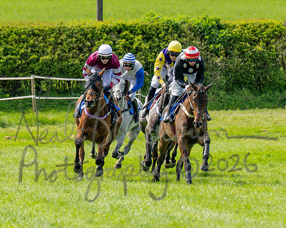 Race 2 - Maiden (58 of 122)