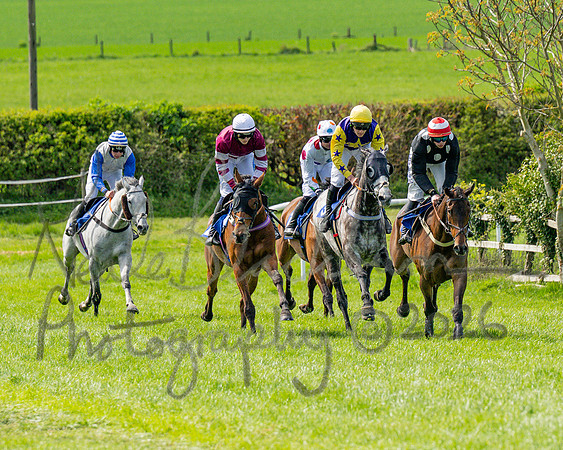 Race 2 - Maiden (59 of 122)
