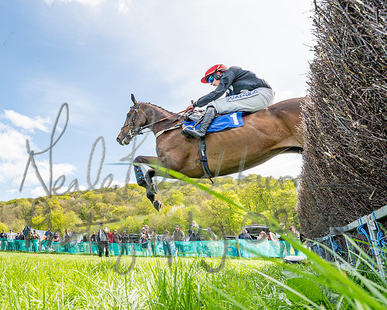 Race 2 - Maiden (61 of 122)