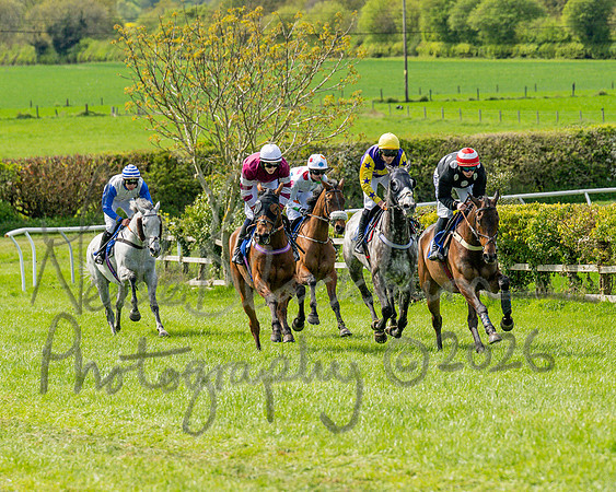 Race 2 - Maiden (60 of 122)