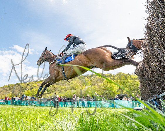 Race 2 - Maiden (62 of 122)