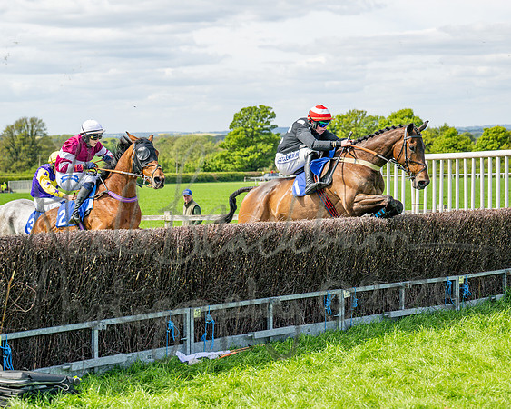 Race 2 - Maiden (63 of 122)
