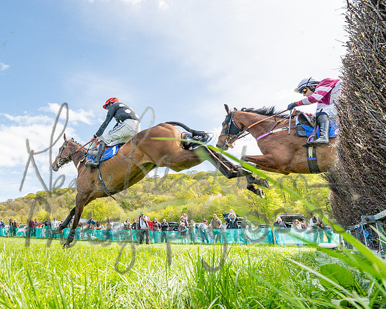 Race 2 - Maiden (64 of 122)