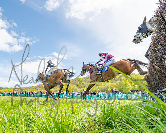 Race 2 - Maiden (66 of 122)