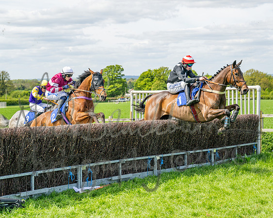 Race 2 - Maiden (65 of 122)