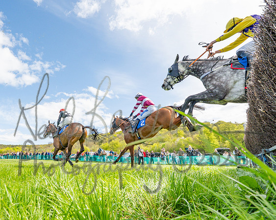 Race 2 - Maiden (68 of 122)