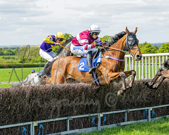 Race 2 - Maiden (69 of 122)