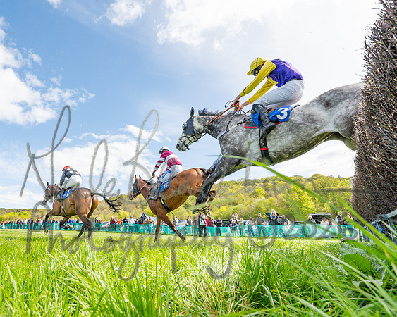 Race 2 - Maiden (70 of 122)
