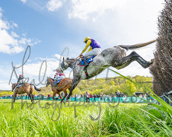 Race 2 - Maiden (72 of 122)