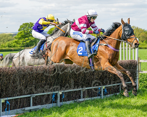 Race 2 - Maiden (71 of 122)