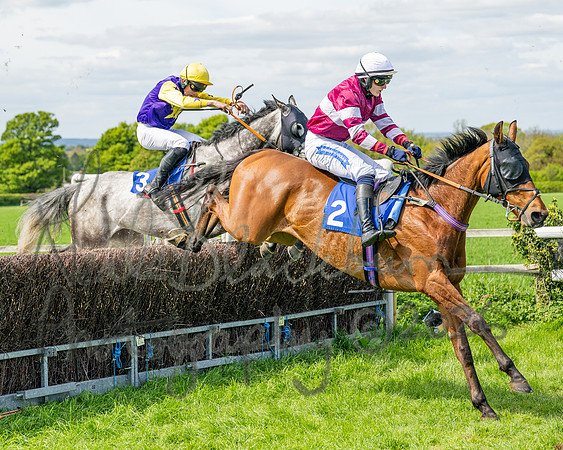 Race 2 - Maiden (73 of 122)