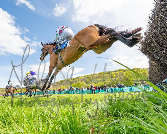 Race 2 - Maiden (74 of 122)