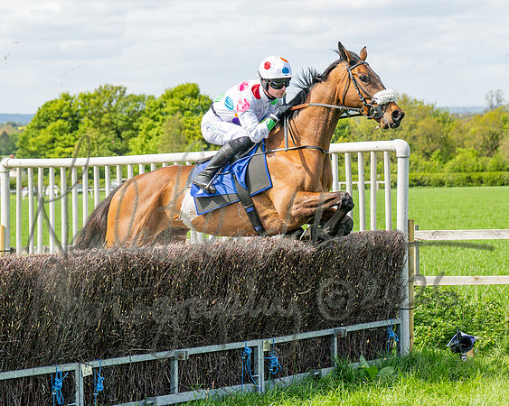 Race 2 - Maiden (75 of 122)