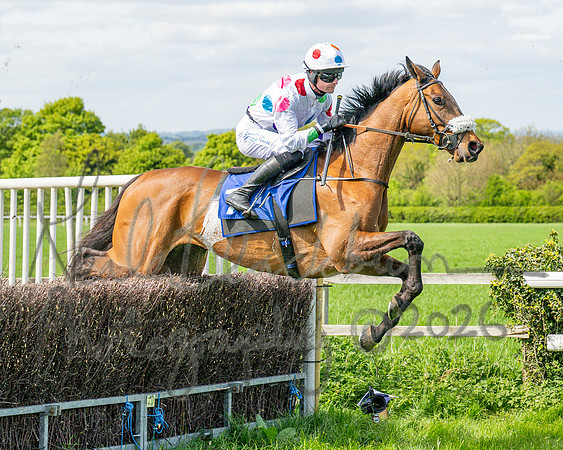 Race 2 - Maiden (76 of 122)