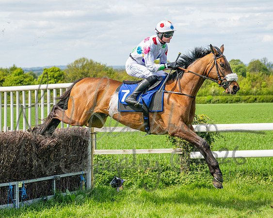 Race 2 - Maiden (77 of 122)
