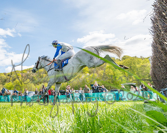 Race 2 - Maiden (79 of 122)
